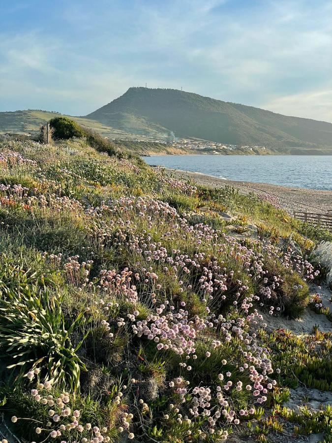 Zaffiro Casa Vacanze Al Mare Valledoria  Exteriér fotografie