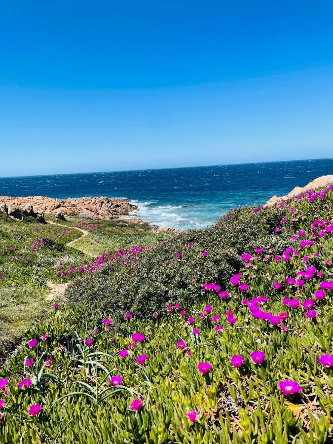 Zaffiro Casa Vacanze Al Mare Valledoria  Exteriér fotografie