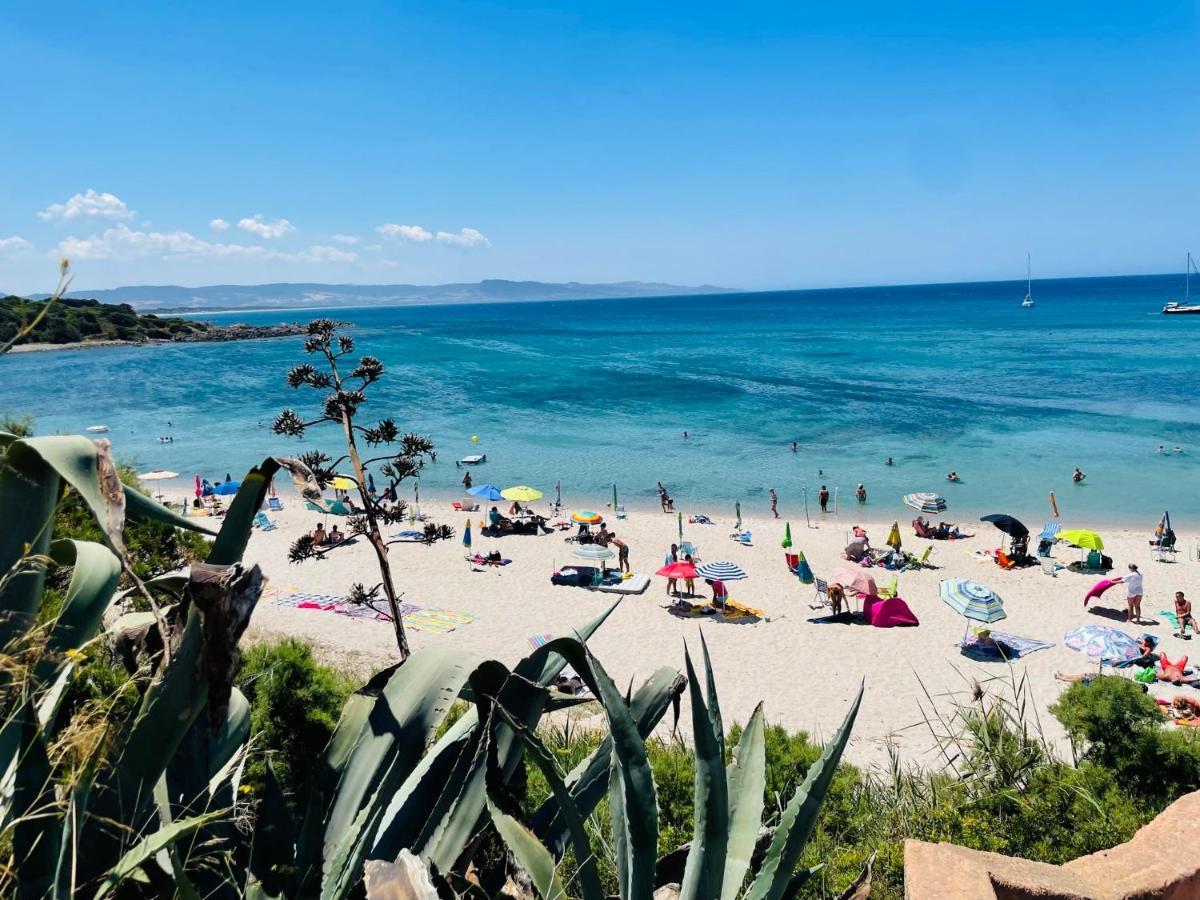 Zaffiro Casa Vacanze Al Mare Valledoria  Exteriér fotografie