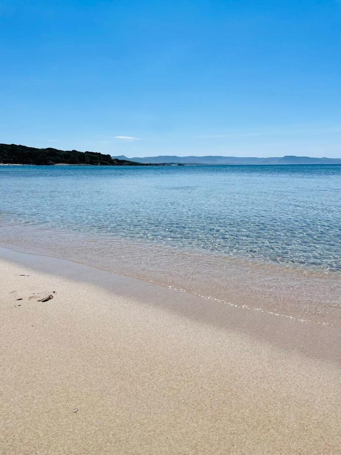 Zaffiro Casa Vacanze Al Mare Valledoria  Exteriér fotografie