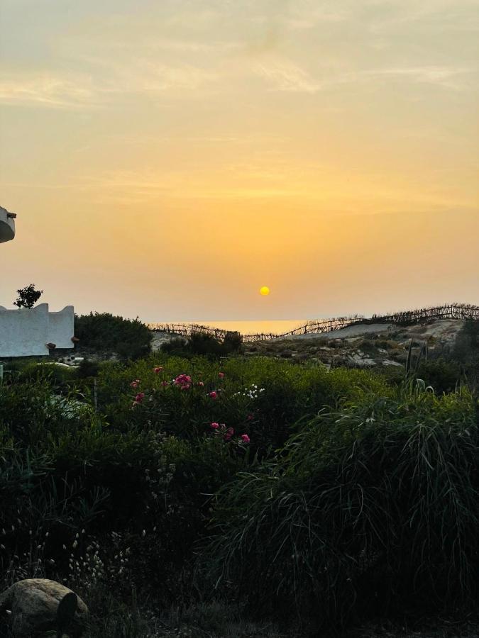 Zaffiro Casa Vacanze Al Mare Valledoria  Exteriér fotografie